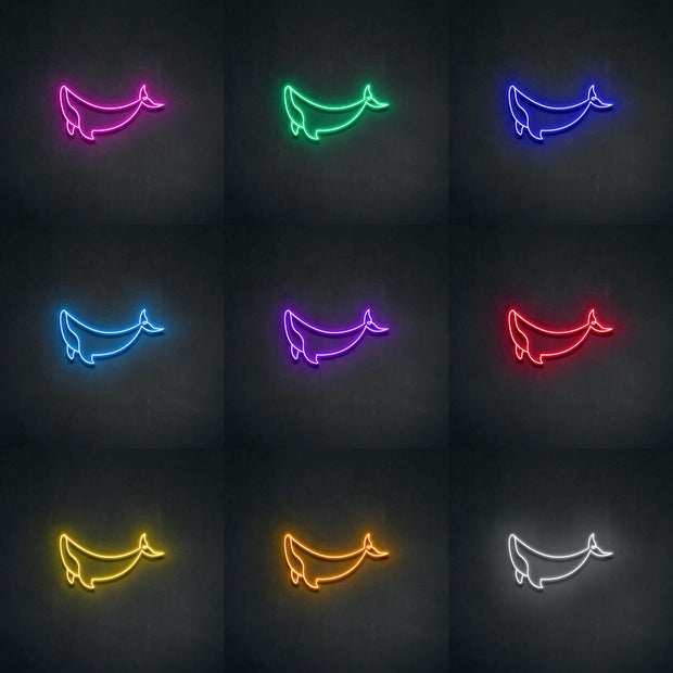 Whale' Néon LED