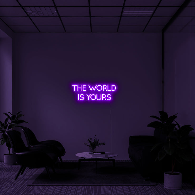 THE WORLD IS YOURS' Néon LED