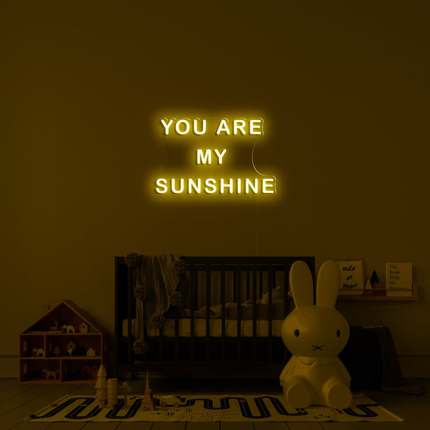 You are my sunshine' Néon LED