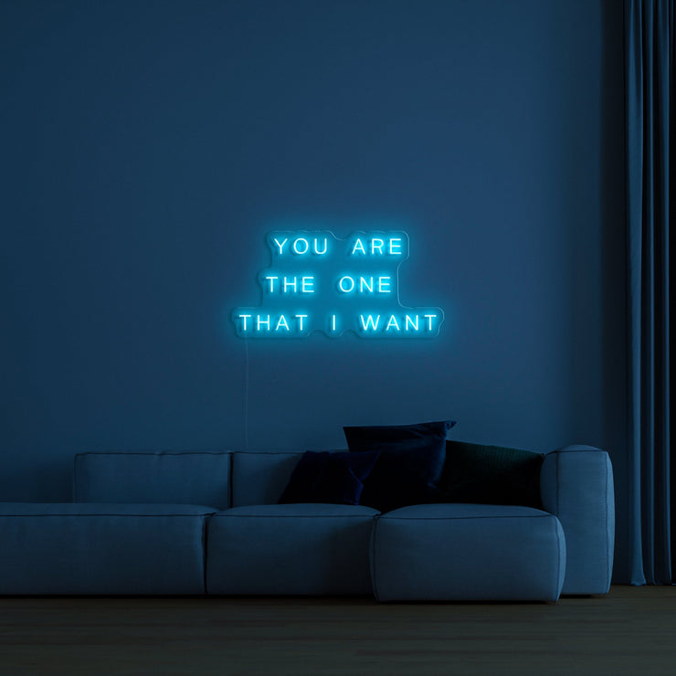 You are the one that I want' Néon LED